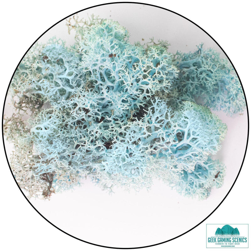 Lichen - Aquamarine