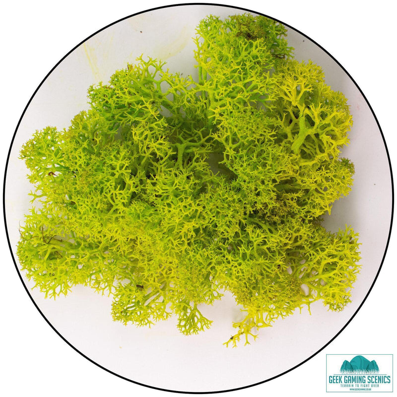 Lichen - Apple Green (Spring)