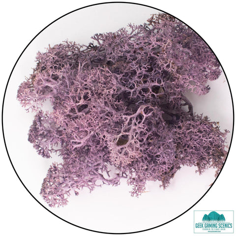 Lichen - Aubergine Purple