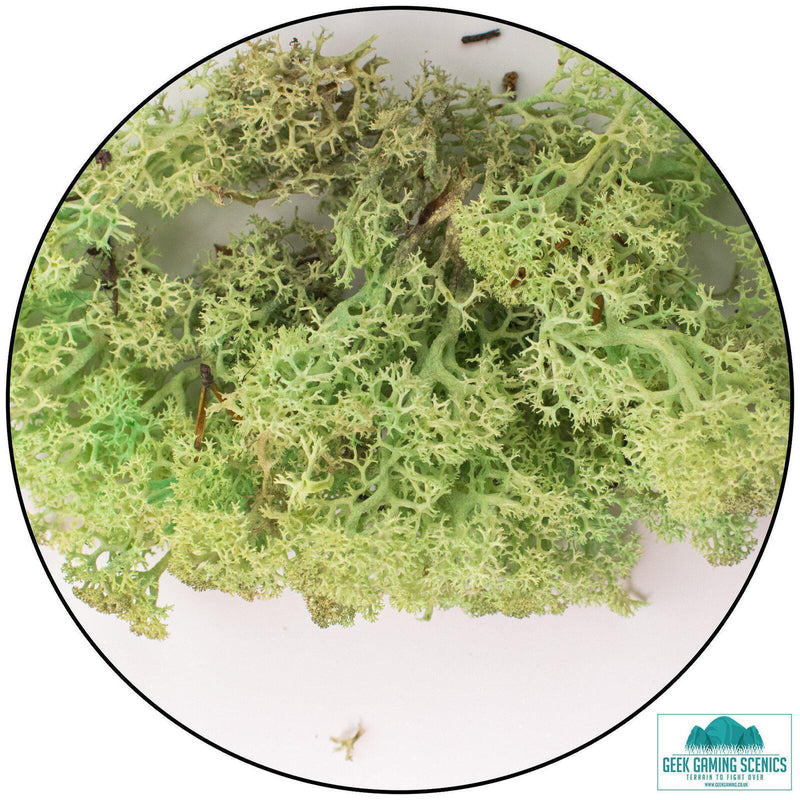 Lichen - Mint Green