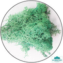 Lichen - Pacific Green