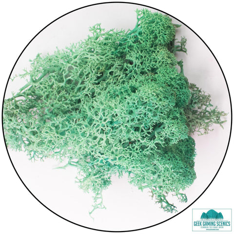 Lichen - Pacific Green