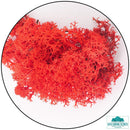 Lichen - Red