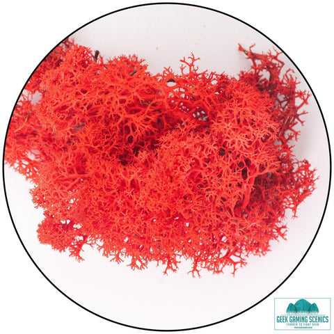 Lichen - Red