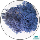Lichen - Royal Blue