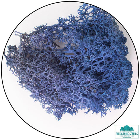 Lichen - Royal Blue