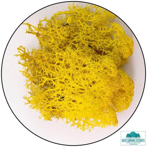 Lichen - Yellow