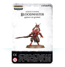 Chaos Daemons/Blades of Khorne: Bloodmaster Herald of Khorne