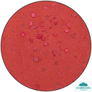 Base Ready: Mars Earth Recall